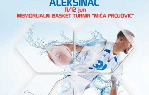 Najbolji basketaši sveta u Aleksincu